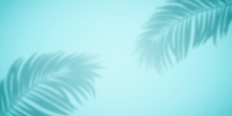 Shadow from palm leaves on a turquoise background.