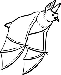 hand drawn cartoon bat illustration.