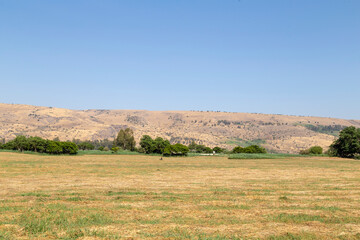 Obraz premium The Hula Nature Reserve in the north of Israel
