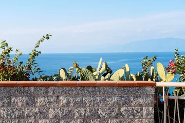 Abwaschbare Fototapete Beautiful view on cactuses and plants on sunny summer day in Calabria. Beach vacation. © photo-lime