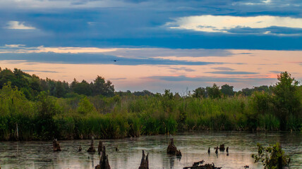 Kołobrzeski Ecopark © lech