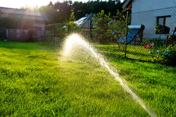 Watering young grass from a garden hose, visible drops of water against the background of the sun.
