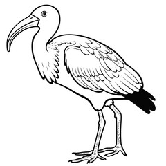 Obraz premium Ibis coloring pages Png animals