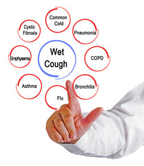 Eight Causes of Wet Cough.