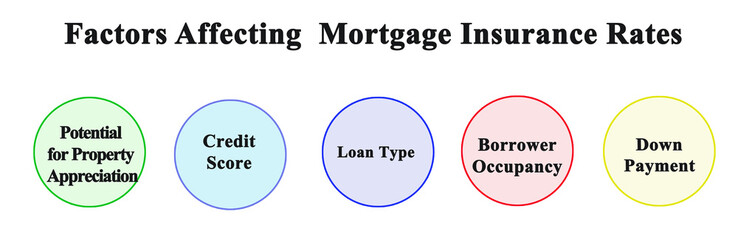 Factors Affecting  Mortgage Insurance Rates