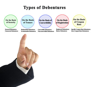 Presnting Five  Types of Debentures.