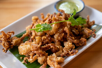 Close up of Fried Squid with sesame served on plate with sauce