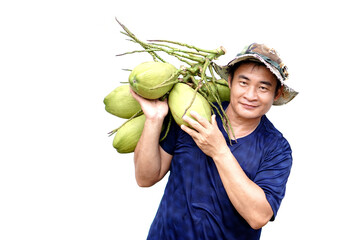 Asian man carry organic coconut fruits on shoulder, isolated on white background. Concept ,...