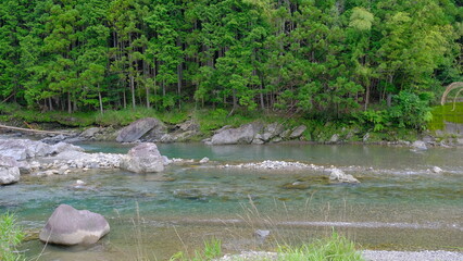 川の風景