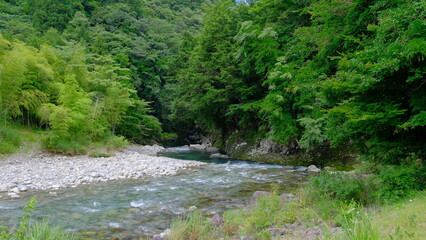 Fototapeta na wymiar 川の風景
