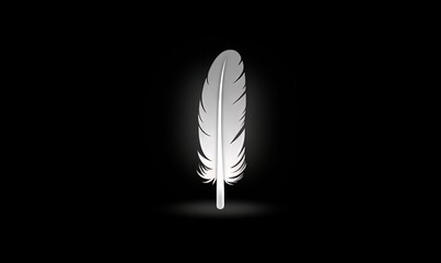  a white feather on a black background with a shadow on the floor.  generative ai