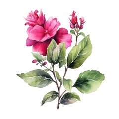  a watercolor painting of a pink flower with green leaves.  generative ai
