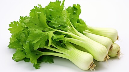 Fresh leaf celery vegetable AI generated image
