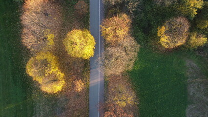 Zdjęcie parkowej alejki i drzew jesienią z drona / Photo of a park alley and autumn trees from a drone