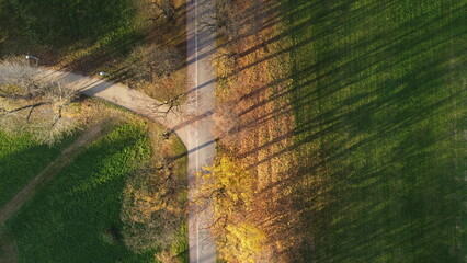 Zdjęcie parkowej alejki i drzew jesienią z drona / Photo of a park alley and autumn trees from a drone