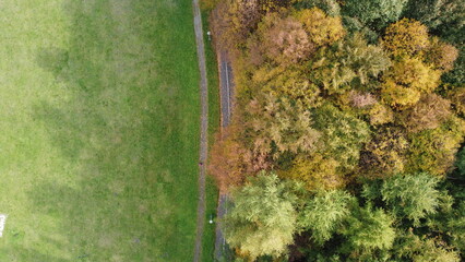 Zdjęcie parkowej alejki i drzew jesienią z drona / Photo of a park alley and autumn trees from a drone