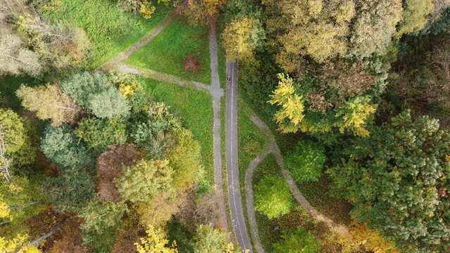 Zdjęcie parkowych alejek i drzew jesienią z drona / Photo of a park alleys and autumn trees from a drone
