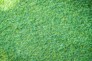 Green artificial grass natural background