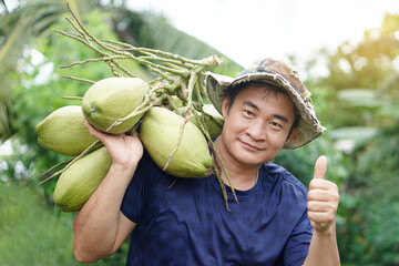 Asian man carry organic coconut fruits on his shoulder, harvested from garden, thumbs up. Concept ,...