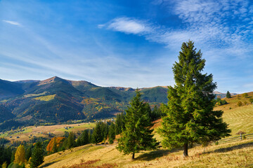 A Stunning View of an Autumn Morning in the Mountains