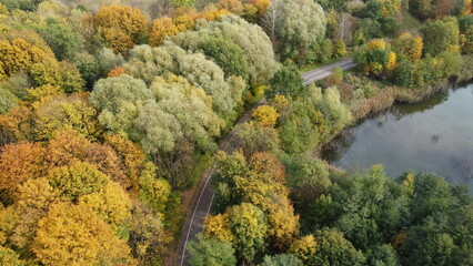 Jesienne zdjęcie parku z drona na którym widać drzewa, jezioro i drogę rowerową / Autumn photo of the park from a drone showing trees, a lake and a bicycle path