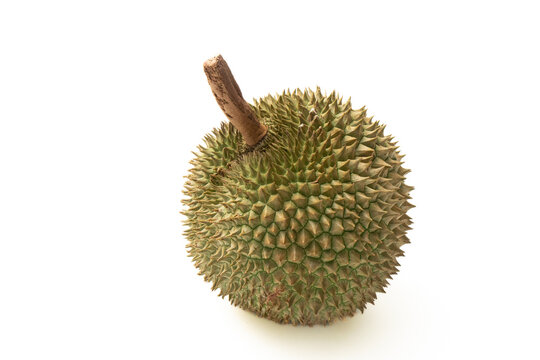 Durian on white background. Durian has a thorny peel, golden yellow flesh with a unique taste, sweet, oily, fragrant, delicious, very popular in Thailand.