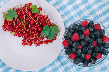 Top view of ceramic plate with fresh red currants and glass bowl with black and red raspberry on checkered napkin lying on wooden table.