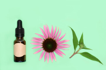 Echinacea natural tincture for coughs colds flu and bronchitis remedies with bottle, flower head,...