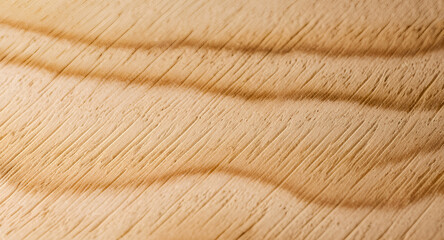Fototapeta premium Wood texture background. Saw cut of a light tree close-up.