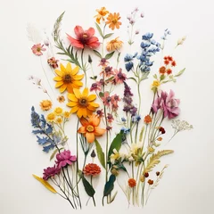Keuken spatwand met foto herbarium of wildflowers on white paper, pressed vibrant colored flowers bouquet , background floral  © Screenshot Lab