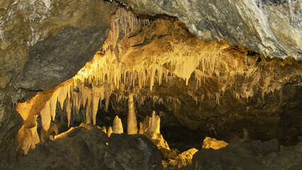 Važecká Cave in Slovakia is known for its underground beauties and bone finds of cave bears (...
