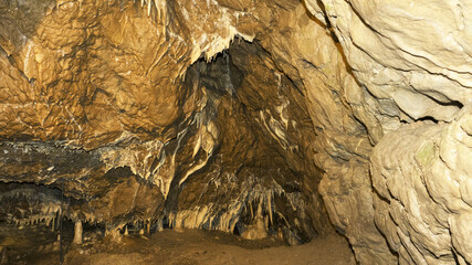Važecká Cave in Slovakia is known for its underground beauties and bone finds of cave bears ( Ursus spelaeus ).