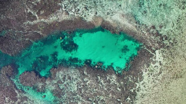 l'ile de Coron nous offre l'un des r&eacute;cifs coraliens les plus beau du monde. Sur mer et dans les air le spectacle est merveilleux. Une piscine naturelle de corail abritant des poissons en tout genre. 