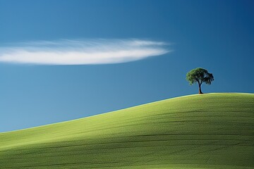 Lonely tree in the middle of a green field with blue sky minimalist artwork