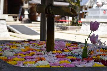花で彩られた手水舎