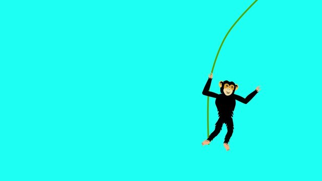Chimpanzee ape 2d animation cartoon hanging on lian blue screen