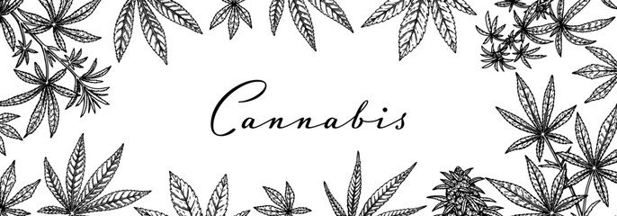 Cannabis horizontal design for packaging, social media posts, store decoration, branding, certificates. Marijuana vector illustration in sketch style. Hemp engraved background