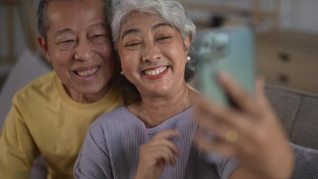 Happy senior couple using smartphone for video conference at home