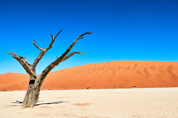 Namibia
