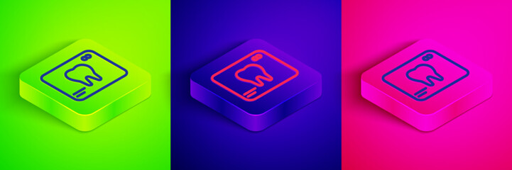 Isometric line X-ray of tooth icon isolated on green, blue and pink background. Dental x-ray. Radiology image. Square button. Vector