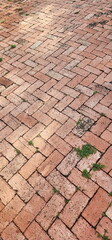 The footpath is paved with red clay bricks arranged diagonally for beauty. The space between the bricks grew green grass. Brick paving pattern for zigzag style, old brick paved yard, 
