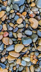 Smooth cobble stones Swamis beach Encinitas California VERT