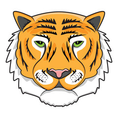 Green eye Tiger head or face drawing in colorful cartoon vector