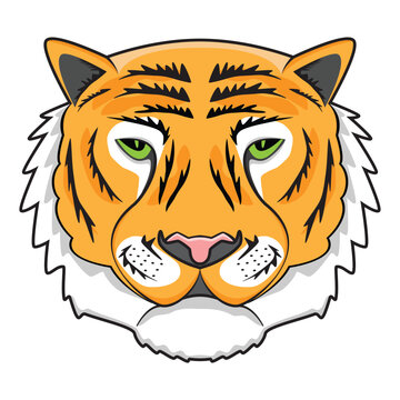 Green eye Tiger head or face drawing in colorful cartoon vector