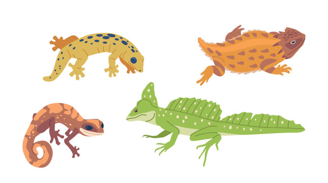 Exotic Lizards And Varans. Fascinating Reptiles Known For Their Vibrant Colors, Unique Patterns, And Impressive Sizes