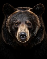 Bear. Awesome animal. Close-up shot. AI generated.