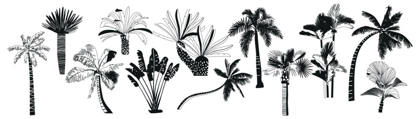 Set Of Black and White Palm Trees, Isolated Icons Providing Tropical Ambiance With Their Graceful Fronds And Trunks