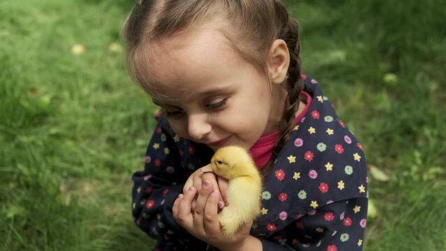 Little girl holding a small yellow duckling in her hands. 