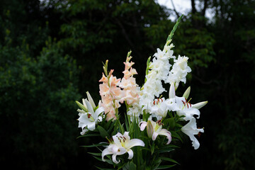 Bouquet de lys blancs et roses pâles,  lys Casablanca, , Lys Pretty Women, glaïeuls, (jardin du...