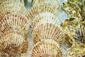 Fresh scallops at traditional market